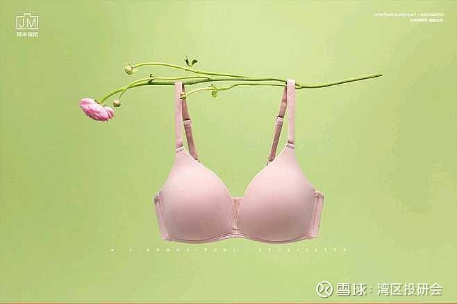 K8凯发·(中国)天生赢家·一触即发一文读懂中国内衣行业